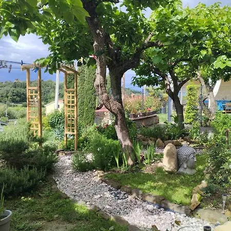 Salvia-guest House